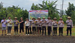 Penanaman Jagung Serentak Kuartal IV di Sanur Kauh, Polresta Denpasar Dukung Swasembada Pangan 2025
