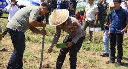 Dukung Ketahanan Pangan, Polres Bondowoso Bersinergi dengan Pemkab Tanam Jagung 8 Hektar