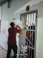 Jaga Kesehatan Warga Binaan, Tim Kesehatan Lapas I Madiun Aktif Laksanakan Kontrol Berkala Demi Layanan Medis Optimal