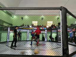Sambut HUT ke - 80 Brimob Polda Jatim Gelar Kejurda Tarung Bebas Indonesia 2025