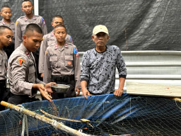 'Live In' : Siswa Diktukba SPN Polda Jatim Edukasi Budidaya Bandeng dan Jamur di Gresik