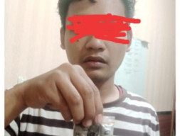 Satresnarkoba Polres Priok Amankan, Pengguna dan Perantara Ganja di Sunter