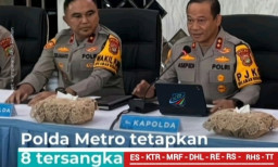 Peningkatan Drastis Kasus DBD di Ibu Kota, Pemerintah Ambil Langkah Sigap ​