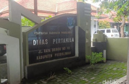 Birokrasi Membabi Buta, Dinas Pertanian Kabupaten Probolinggo Dinilai Hambat Ketahanan Pangan, Petani Nyaris Putus Asa