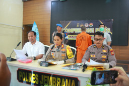 Polres Jembrana Ungkap Kasus Budidaya Ganja Pelaku Beli Biji Dari Situs Luar Negeri 