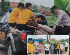 Polsek Sokobanah Sumbang Material Semen, Dukung Perbaikan Jalan Swadaya di Tamberu