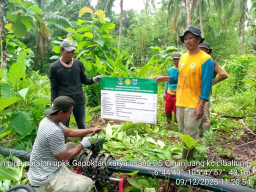 Program Irigasi dan Perpompaan di Desa Cihanjuang Rampung, Petani Ucapkan Terima Kasih