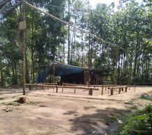 Sabung Ayam di Desa Belung, Poncokusumo Malang di Bongkar Rata Dengan Tanah