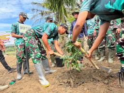 YONIF TP 836/BY Laksanakan Penanaman Pohon Bersama Kodim, Polres dan Pemkab Pidie Jaya untuk Menghijaukan Wilayah