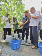 Harapan Baru di Desa Winong: PLN UIP JBTB dan Karang Taruna Sukses Panen Perdana 600 Buah Melon New Kinanti Hidroponik
