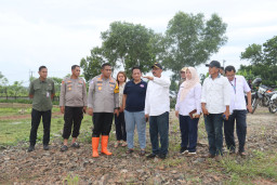 Dinas pertanian dan Pengelola (Pihak ke 3) Jelaskan progres Lahan Jagung Program Ketahanan Pangan di Tigaraksa