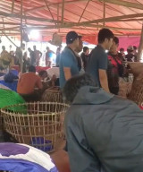Aktivitas Judi Sabung Ayam di Sumenep Seolah Kebal Hukum, Diduga Ada Backingan Aparat 