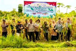 Sinergi Forkopimcam Jrengik Dukung Ketahanan Pangan Melalui Panen Raya Jagung di Desa Kotah