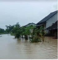 Kampung Porma Desa Mekarsari Terendam Banjir, Air Setinggi Lutut Orang Dewasa