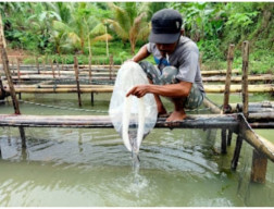 Pemdes Cikalong dan BUMDes Cikal Mandiri Klarifikasi Pengelolaan Dana Ketahanan Pangan Rp175 Juta