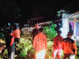 Diterjang Angin Kencang, Puluhan Pohon Tumbang dan Rumah Warga di Camplong Rusak
