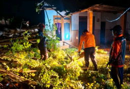 Bencana Angin Kencang di Camplong Sampang: Satu Warga Meninggal Dunia Tertimpa Bangunan Dapur