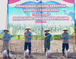 Dukung Program Swasembada Pangan Tahun 2026, Polda Bali Tanam Jagung Serentak