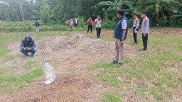 Tragedi Berdarah di Persawahan Sampang: Petani Tewas Ditusuk Bambu Runcing, Pelaku Berhasil Diamankan