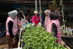Tularkan Semangat Hari Kartini, PLN Perkuat Kontribusi Perempuan Lewat Srikandi Movement