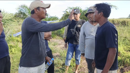 Nyaris Adu Jotos! Wakil Ketua DPRD Kayong Utara Geram, Ketegangan Pecah Saat Hentikan Pembukaan Lahan Warga