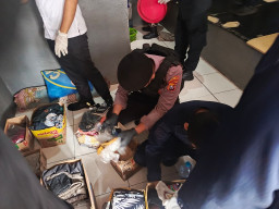 Lapas Sidoarjo Gelar Razia Gabungan, Perkuat Komitmen Berantas HALINAR