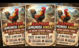 Diduga Kebal Hukum, Arena Sabung Ayam Gunung Tungu Ranuyoso Kembali Ramai, APH Dinilai Tutup Mata