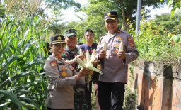 Polres Jembrana Dukung Panen Raya Jagung Serentak, Hasil Panen Disalurkan Untuk Program Makan Bergizi Gratis