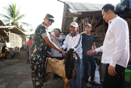 Dandim 1617/Jembrana Hadiri Pemeriksaan dan Penyerahan Hewan Qurban Presiden RI