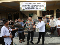Polda Bali Serahkan 96 Ekor Hewan Kurban Untuk Hari Raya Idul Adha 1447 H  