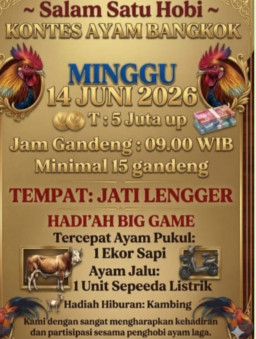 Diduga Berkedok Hobi, Kontes Ayam Bangkok Berhadiah Fantastis Tuai Sorotan Publik