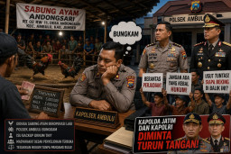 Sabung Ayam Andongsari Diduga Beroperasi Lagi, Kapolsek Ambulu Bungkam; Kapolda Jatim dan Kapolri Diminta Turun Tangan