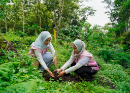Srikandi PLN Icon Plus Jatim Tanam 200 Bibit Pohon di Kaki Gunung Arjuno–Welirang untuk Dukung Konservasi Lingkungan
