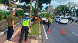 Satlantas Polres Bandara Ngurah Rai Amankan Arus Lalu Lintas saat Pemotongan Pohon di Jalur Protokol