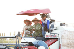 Gunakan Combine Harvester, Pangdam XXI/RI Panen Raya di Lampung Tengah