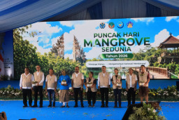 Gubernur Koster Dorong Gerakan Tanam Mangrove Setiap Bulan, Perkuat Ekosistem Pesisir Bali