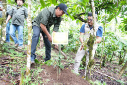 Mitigasi Longsor dan Dorong Ekonomi Warga, PLN UIP JBTB Salurkan Bantuan Konservasi 4.000 Pohon Aren Genjah Asal Aceh