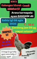 Rencana Lomba Sabung Ayam di Kalangan Klurak Candi Sidoharjo Diharapkan Jadi Atensi Aparat