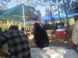 Diduga Dibekingin Oknum TNI 509 Arena Sabung Ayam di Jelbuk Jember Ramai Dikunjungi Warga