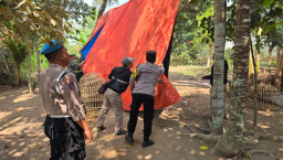 Pengecekan Lokasi Sabung Ayam di Karang Duren, Jember, Tidak Ditemukan Aktivitas