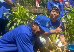 Harmoni Biru untuk Bali, Demokrat Semarakkan HUT ke-25 dengan Aksi Lingkungan dan Perlombaan Kemerdekaan