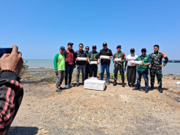 Barantin Selamatkan 30.789 Benih Lobster Senilai Rp4,6 Miliar dari Bandara Juanda