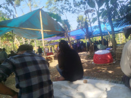 Diduga Ada Arena Judi Sabung Ayam di Jelbuk Jember, Aparat Penegak Hukum Diminta Bertindak Tegas