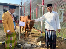 Rayakan Idul Adha 1444 H Lapas Narkotika Kelas IIA Pamekasan Kanwil Kemenkumham Jatim Laksanakan Penyembelihan Hewan Qurban 