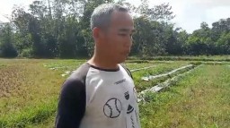 Kepala Desa Cijaralang, "Sa'i" sukses bertani Semangka dan Cabai Rawit 
