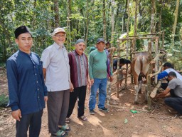 Momentum Hari Idul Adha 1444 H, Yus Priyadi Usman Asal Depok, Salurkan Bantuan 5 Ekor Sapi dan 4 Ekor Kambing Untuk Qurban