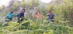 Sinergitas TNI Polri dan Stick Holder Berhasil Padamkan Kebakaran Hutan Lindung di Kawasan  Ijen