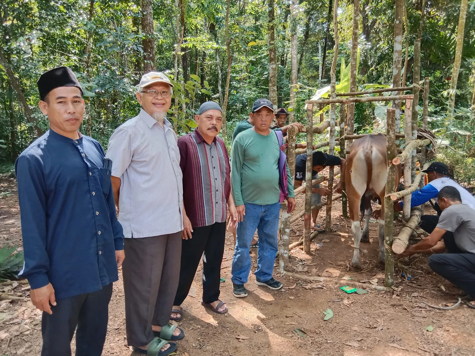 Momentum Hari Idul Adha 1444 H, Yus Priyadi Usman Asal Depok, Salurkan Bantuan 5 Ekor Sapi dan 4 Ekor Kambing Untuk Qurban