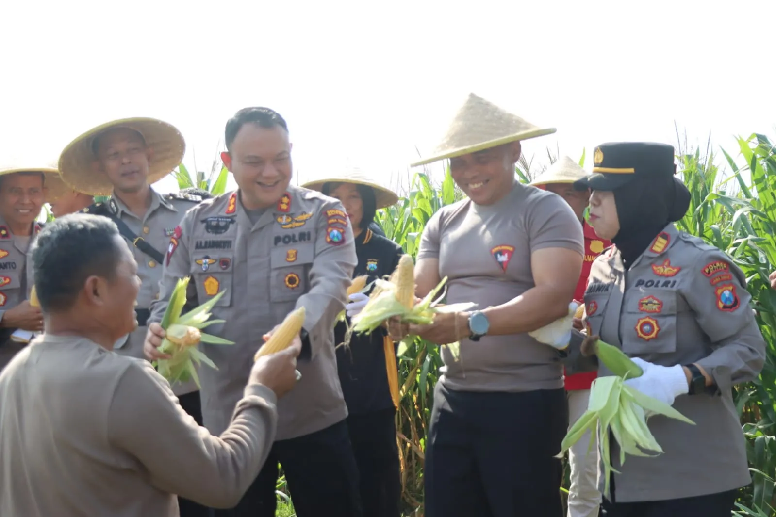 Polres Blitar Panen Jagung Manfaatkan Lahan Tidur Dukung Ketahanan Pangan