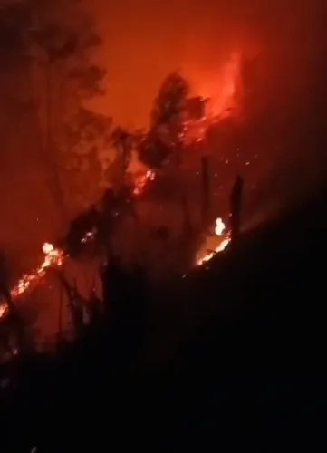 Kebakaran di Savana Bromo, Tidak Mengganggu Aktifitas Wisatawan